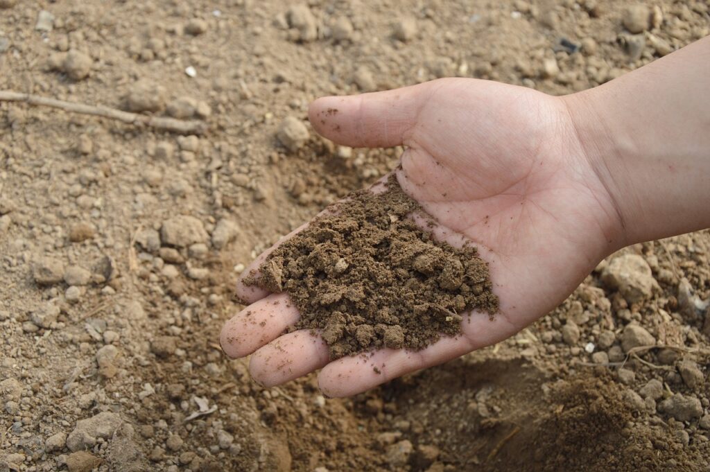 soil, hand, farm, garden, fertilizer, compost, organic, brown garden, brown farm, brown gardening, soil, nature, soil, soil, soil, soil, fertilizer