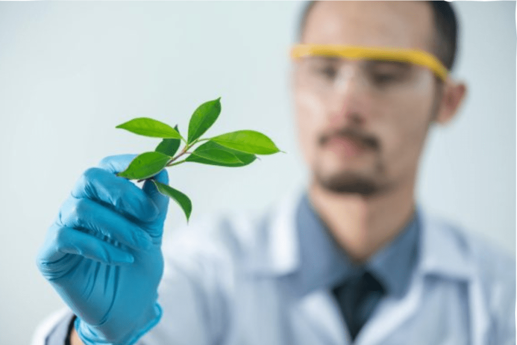Environmental testing lab consultancy services for soil and plant samples analysis.